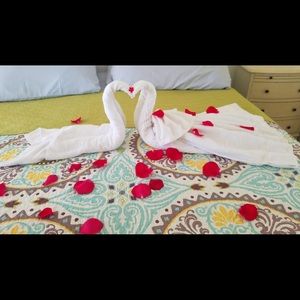 Meet your Posher, Beatrice